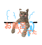 わんにゃん愉快な仲間たち（個別スタンプ：4）