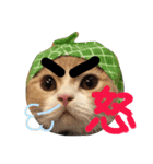 わんにゃん愉快な仲間たち（個別スタンプ：6）