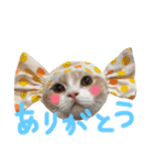 わんにゃん愉快な仲間たち（個別スタンプ：10）