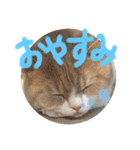 わんにゃん愉快な仲間たち（個別スタンプ：15）