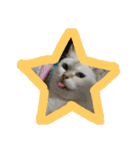 元のらねこ しろ 2（個別スタンプ：9）