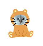 元のらねこ しろ 2（個別スタンプ：12）