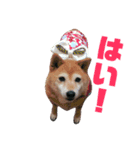 ロコとか（個別スタンプ：6）