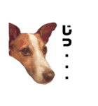 ロコとか（個別スタンプ：11）