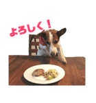 ロコとか（個別スタンプ：16）