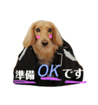 だっくすたんぷ（個別スタンプ：3）