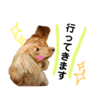 だっくすたんぷ（個別スタンプ：16）