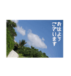 宮古島からおはようございます（個別スタンプ：8）