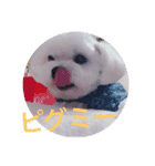 コロアンドモカ（個別スタンプ：4）