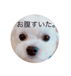 コロアンドモカ（個別スタンプ：8）