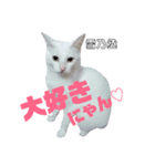 雪慶ニャーズ2（個別スタンプ：2）