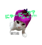 雪慶ニャーズ2（個別スタンプ：4）