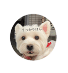ななりんですがなにか（個別スタンプ：1）