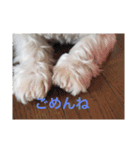ななりんですがなにか（個別スタンプ：5）