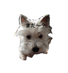 ななりんですがなにか（個別スタンプ：15）