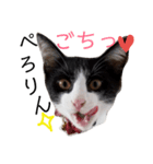 子猫の部長のスタンプ（個別スタンプ：4）