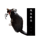 子猫の部長のスタンプ（個別スタンプ：15）