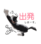 子猫の部長のスタンプ（個別スタンプ：20）