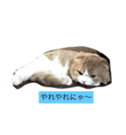 猫プー（個別スタンプ：2）
