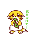 狐の赤さま（個別スタンプ：30）