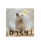ハムスターのティムくんとメルちゃん（個別スタンプ：15）