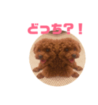 たみ！（個別スタンプ：15）