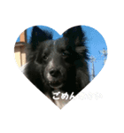 愛犬チロルとリッカ（個別スタンプ：2）