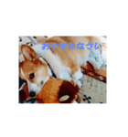 愛犬チロルとリッカ（個別スタンプ：6）