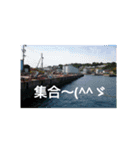 釣り部だよ（個別スタンプ：14）