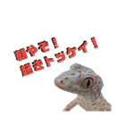 かべちょろスタンプ。（個別スタンプ：3）