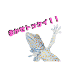 かべちょろスタンプ。（個別スタンプ：6）