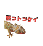 かべちょろスタンプ。（個別スタンプ：8）