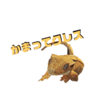 かべちょろスタンプ。（個別スタンプ：12）