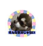 ワクワク パート2（個別スタンプ：1）