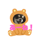 ワクワク パート2（個別スタンプ：3）
