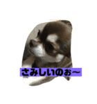 ワクワク パート2（個別スタンプ：5）