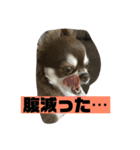 ワクワク パート2（個別スタンプ：6）