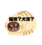ワクワク パート2（個別スタンプ：7）
