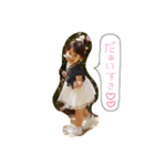 ぱぱに送るここちゃんスタンプ（個別スタンプ：3）