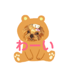 犬スタンプ②（個別スタンプ：15）