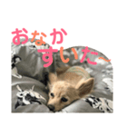 くるちゃんスタンプ1（個別スタンプ：1）
