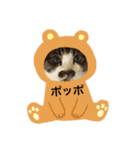 チッチとポッポ Part2（個別スタンプ：2）