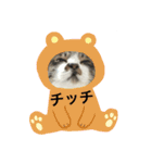 チッチとポッポ Part2（個別スタンプ：3）