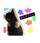 チッチとポッポ Part2（個別スタンプ：10）