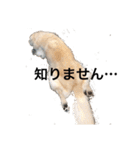 れいか2（個別スタンプ：3）