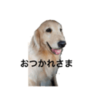 れいか2（個別スタンプ：12）