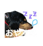 れおんのすたんぷ（個別スタンプ：3）
