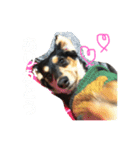れおんのすたんぷ（個別スタンプ：7）