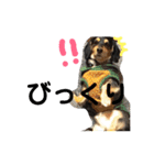れおんのすたんぷ（個別スタンプ：8）