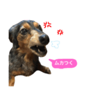 cherry'Sstanp（個別スタンプ：8）
